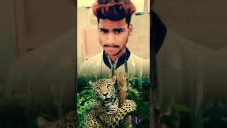 Download lagu Rohit Kumar 🥰🥰 mp3 Download lagu Rohit Kumar 🥰🥰 mp3