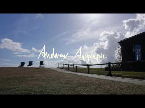 Andrew Applepie - I Need A Break