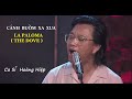 CÁNH BUỒM XA XƯA LA PALOMA