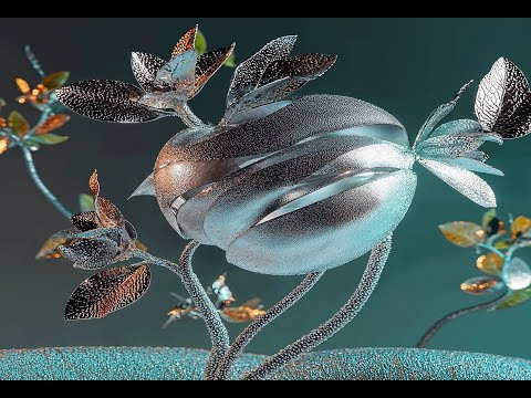 Moonphazes, RYCH DSYGNR - Sanctum (Extended Mix)