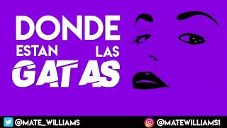 DONDE ESTAN LAS GATAS | Nicky Jam ft. Daddy Yankee🐱 REMIX ( MATE WILLIAMS )