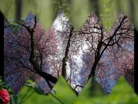 192 - KAKO BOG OPRAŠTA NAŠE GREHE