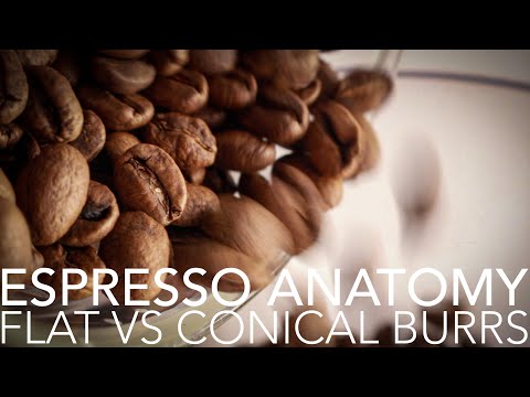 ESPRESSO ANATOMY - Flat Vs Conical Burrs