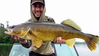 How to Target REALLY BIG Walleye This Summer