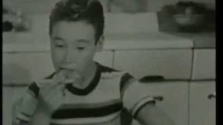 Negativland - Stress In Marriage