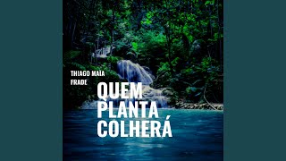 Quem Planta Colherá Music Video