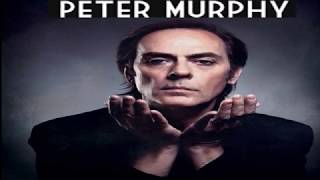 Peter Murphy  Cascade subtitulada