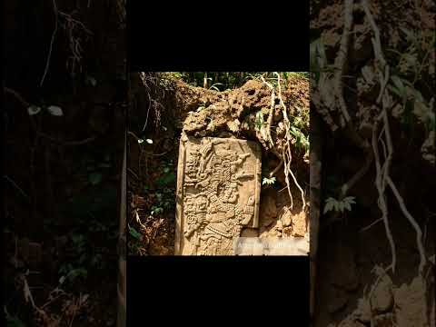 Panel 10 de Dos Pilas. Sayaxché, #Petén, #Guatemala #arqueologia # #travel #guatemala