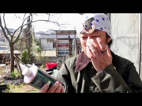 どやべぇ液体を手に入れたのでイチジクの挿木に使ってみた【園芸超人カーメン君】