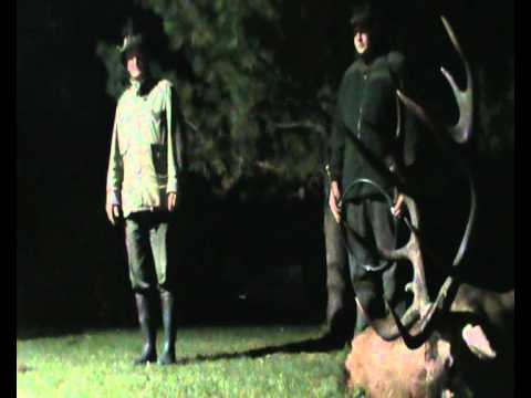 Der kapitale Hirsch von Heinrich