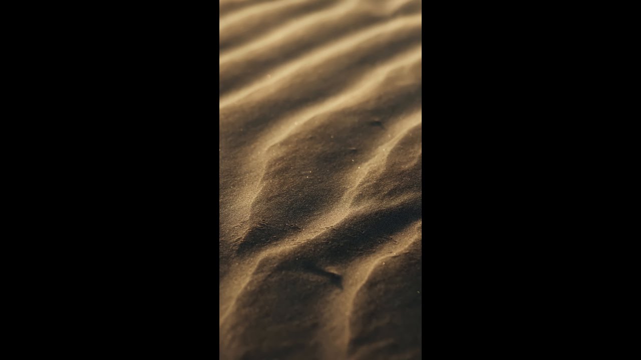 GLE Coreと共鳴する、剣道の美学 / Mercedes-Benz LIVE!｜メルセデス・ベンツ