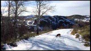 preview picture of video 'A Walk Around Castle Rocks near Mountain Home Idaho'