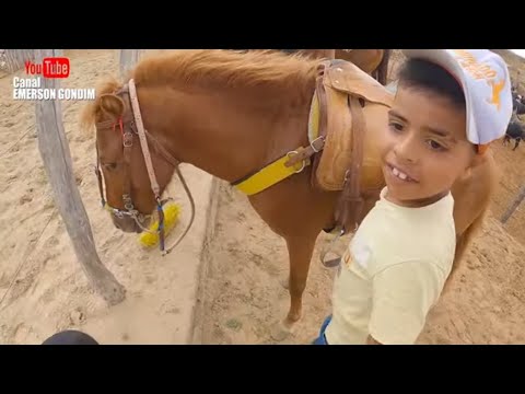 VAQUEIRO LEVY WON MONEY IN THE VAQUEJADA POOL WITH THE PONY LOLLIPOP