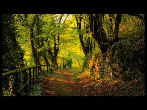 LUKE GIBSON - It's All Yours