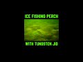 Video Thumbnail for Ice Fishing Perch with Tungsten Jig