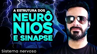 Sistema Nervoso - Estrutura dos neurônios e sinapse - Anatomia Humana - VídeoAula 008