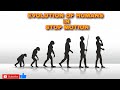 The Evolution Of Humans From Single Cells To Today Stop Motion