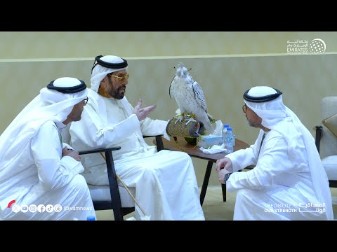 img-video