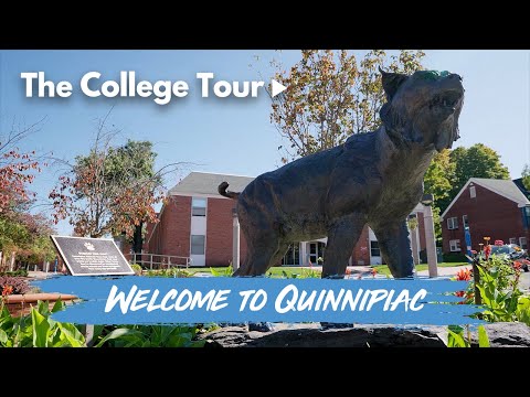 Outlook Quinnipiac