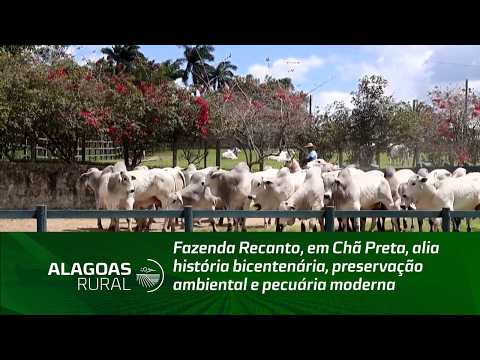 Fazenda Recanto, em Chã Preta, alia história bicentenária, preservação ambiental e pecuária moderna