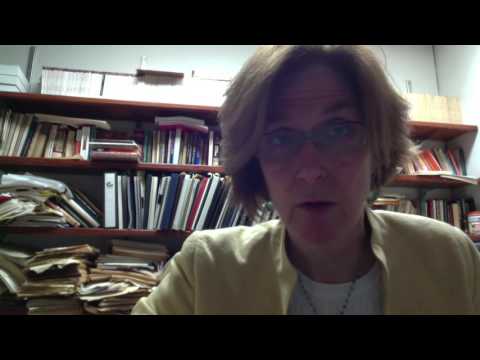 Professor Joyce Sullivan - Final Field Report and End of Semester Comments