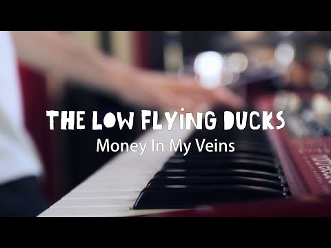 The Low Flying Ducks – Money In My Veins (Hamburg Session)