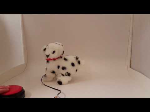 Flip Over Spots Switch Adapted Toy