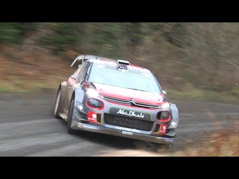 WRC Wales Rally GB 2017 | SHAKEDOWN