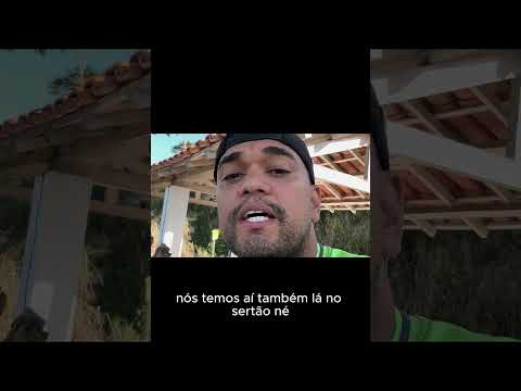 curiosidades de Itapé-BA  #viral #bahia#curiosidades #historia #fatoscuriosos