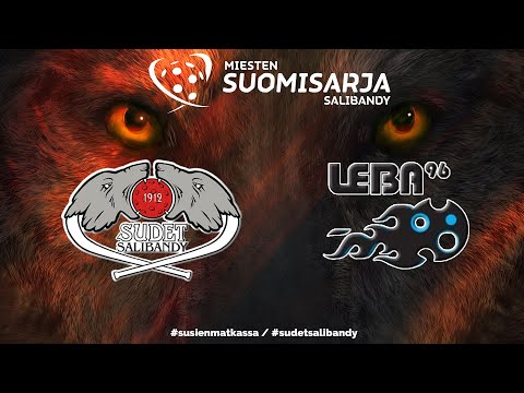 Sudet SB - LeBa-96 , 22.11.2020