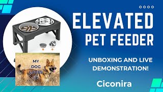 🔥 2024 Elevated Pet Food and Water Bowls. My dog loves it!