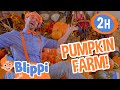 Blippi Visits The Pumpkin Farm Blippi Educational Kids Videos After School Club