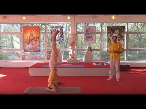 Live Yogastunde mit Ishwara - 09:15 Uhr 04.04.2020