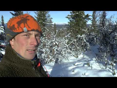 download lagu mp3 mp4 Elgjakt, download lagu Elgjakt gratis, unduh video klip Download Elgjakt Mp3 dan Mp4 Music Gratis