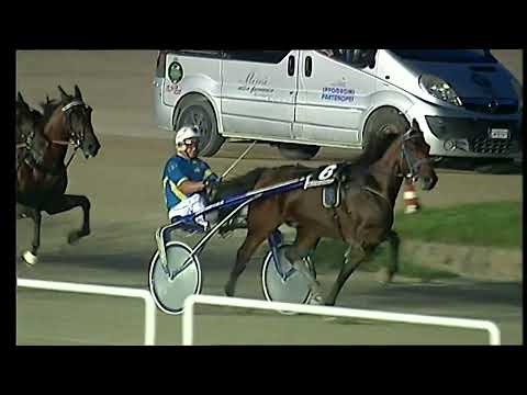 Napoli Trotto 27/08/2022 - 2ª corsa