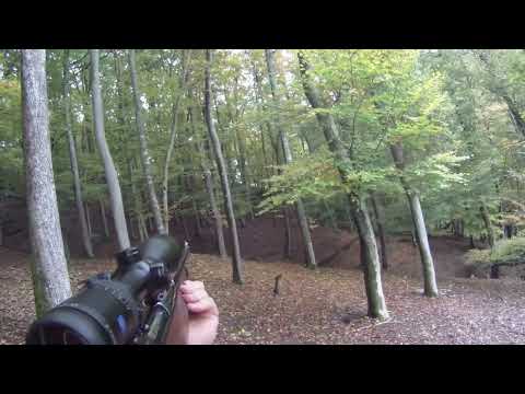 Überläufer erlegt auf Drückjagd, Sauer 80 in 30-06, Hornady SST, Hessen, Midland Action Cam