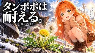 【タンポポは耐える。】すべてを右から左に受け流す。