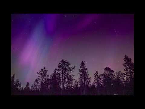 Protonic S.H. - Waldkrieger