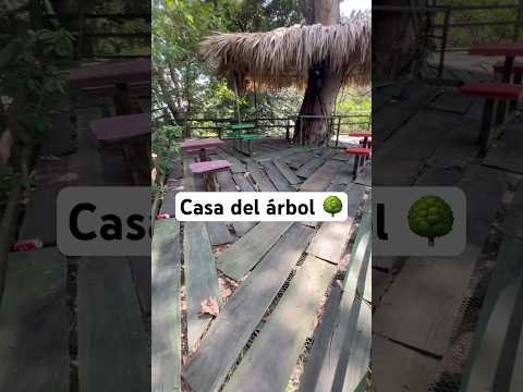 SeaWorld Tacachico — subiendo a la casa del árbol 🌳🚢🇸🇻