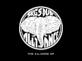 SKG's Dub Alliance - Get up in Dub