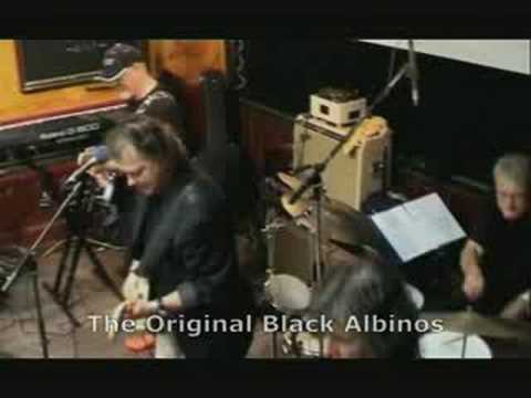 The Black Albinos - Best of 40 years - Live