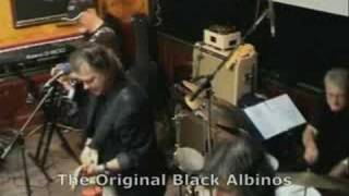 The Black Albinos - Best of 40 years - Live
