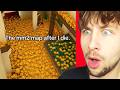 REACTING TO VIRAL MM2 TIKTOKS