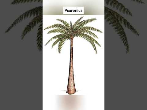 Prehistoric Plants That Are Extinct 🥹 #shorts #viral #dinosaur #plants