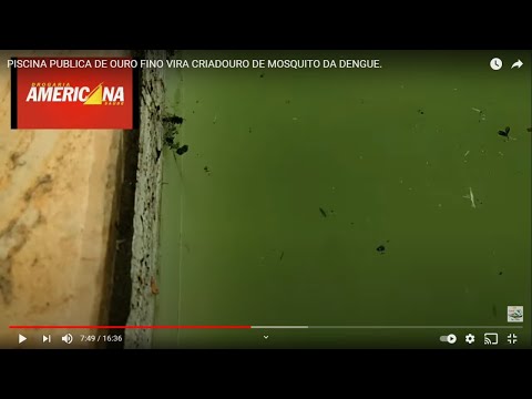 PISCINA PUBLICA DE OURO FINO VIRA CRIADOURO DE MOSQUITO DA DENGUE.