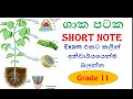 Grade 11 Science Short Notes In Sinhala