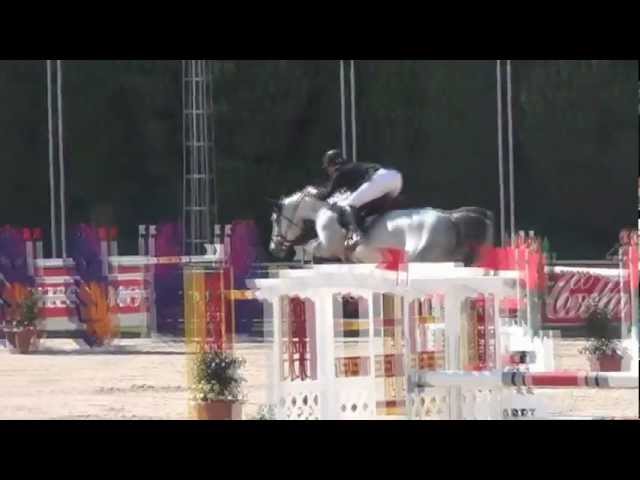 Grand-mother of the colt Buffalo Tom W&M Z is the CSI 1.45 jumping mare Baloudana with rider Gregory Wathelet.