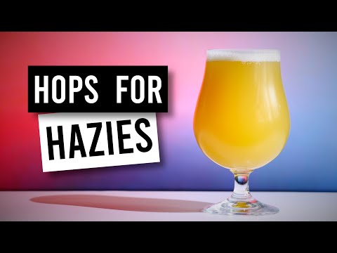 Top 5 Hops To Use With Hazy IPA