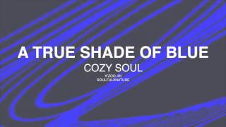 Cozy Soul - A True Shade Of Blue