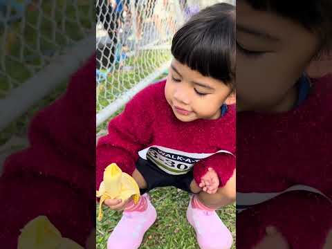 เจอโลกกลับด้าน!! หลังอุกกาบาตมาตกหน้าบ้านน้องมิมิ #น้องมิมิ